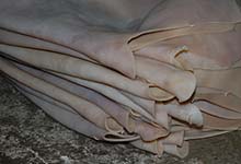 �Ȃ߂����H���ꂽ���۔�